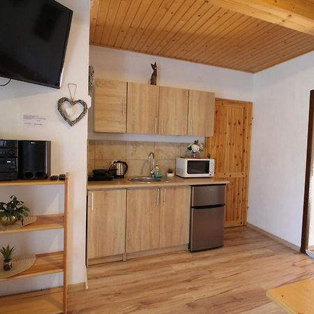 Apartament Wakacyjny Dom Dawidówka Wisła Zewnętrze zdjęcie